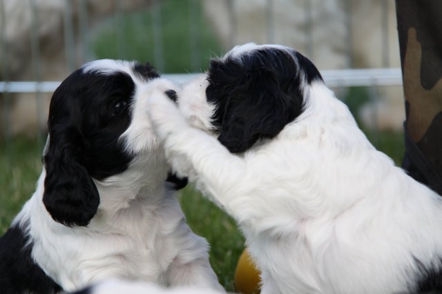 stenata_3_tydny (15)